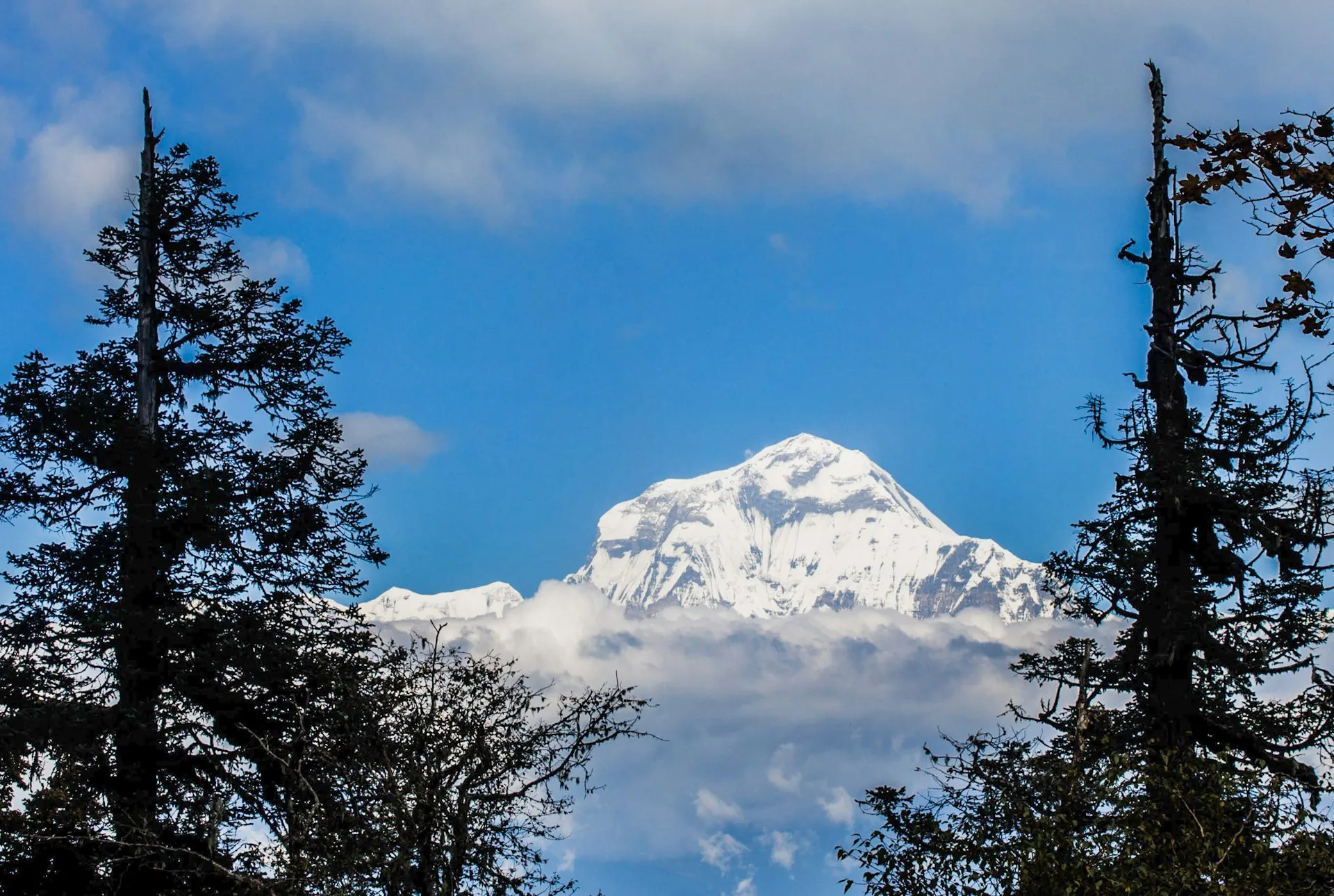 Annapurna Circuit trek
