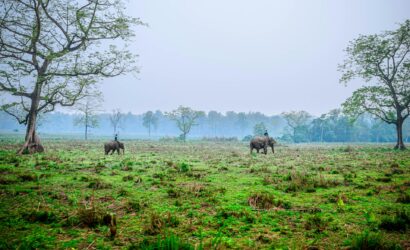 Chitwan National Park Tour