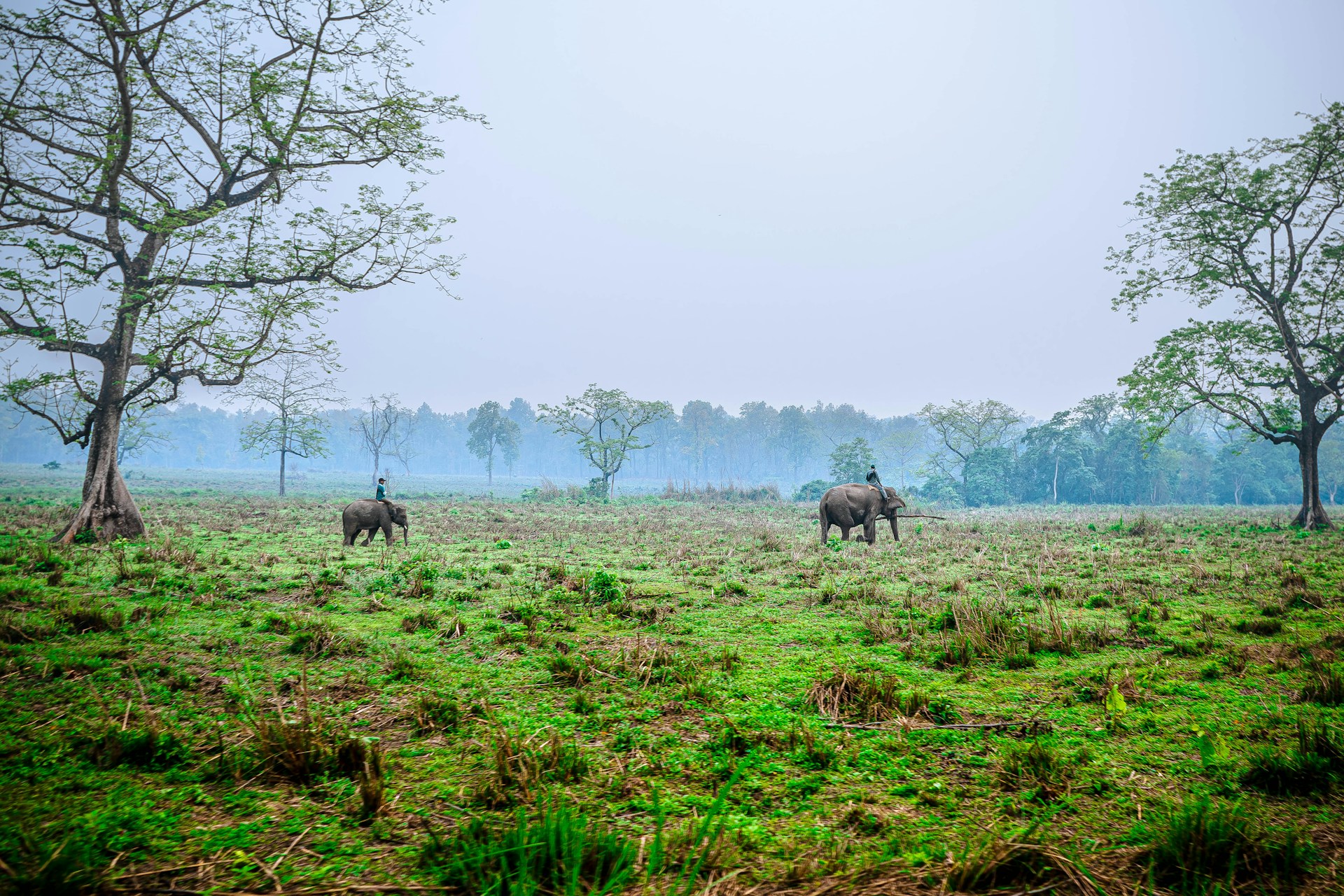 Chitwan National Park Tour
