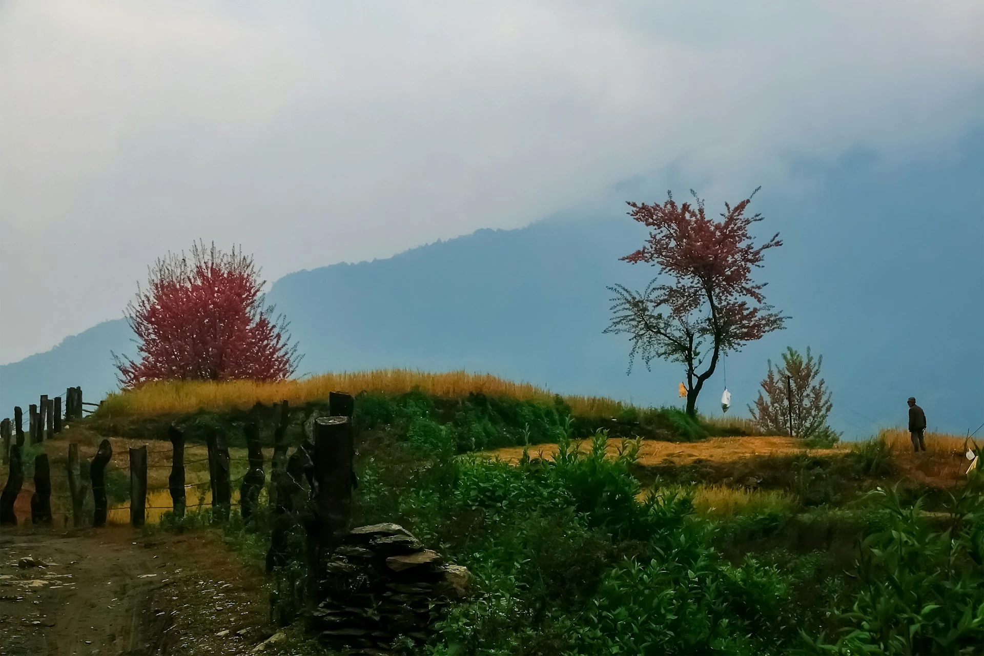 Village in Nepal View