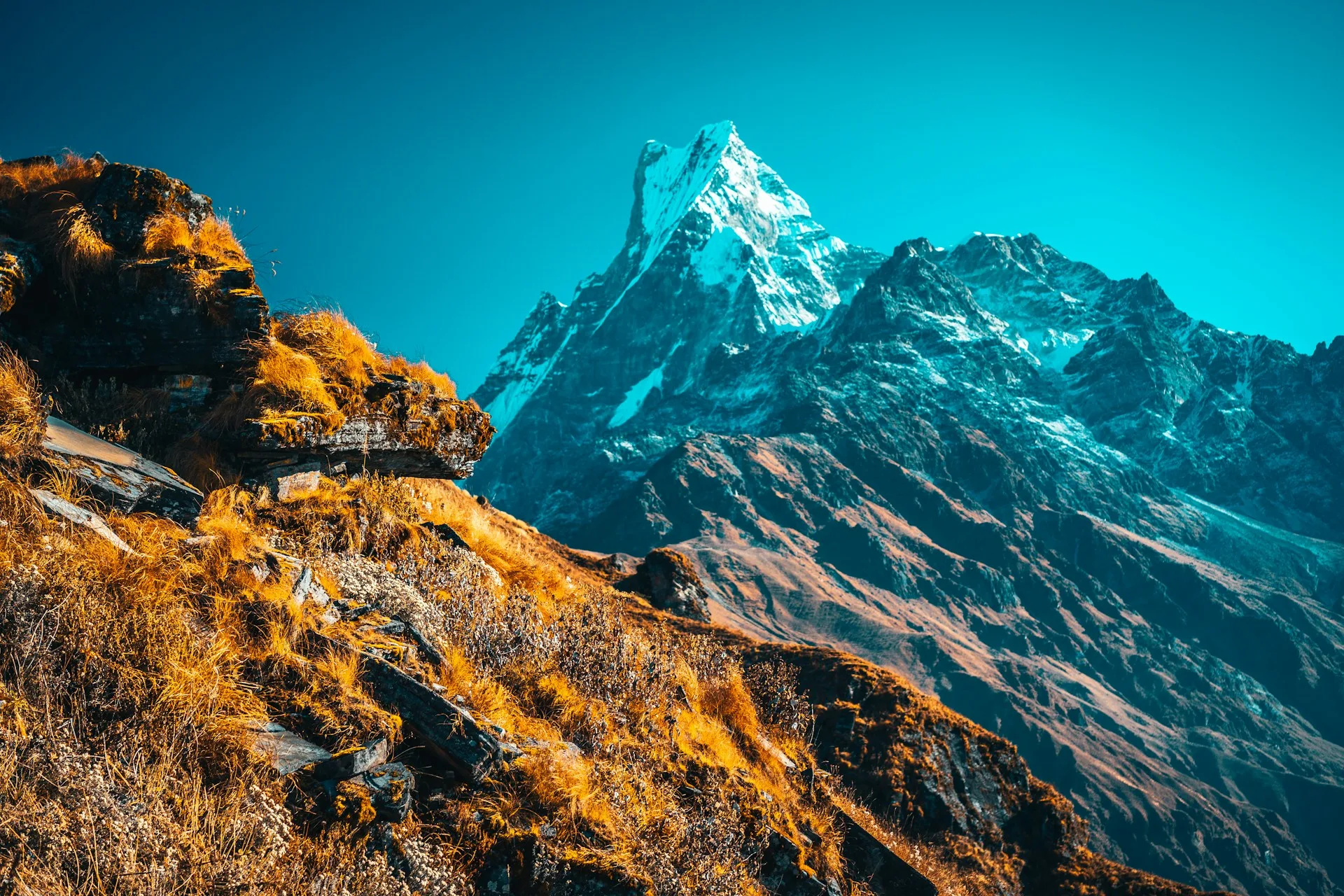 Is Mardi Himal Trek difficult