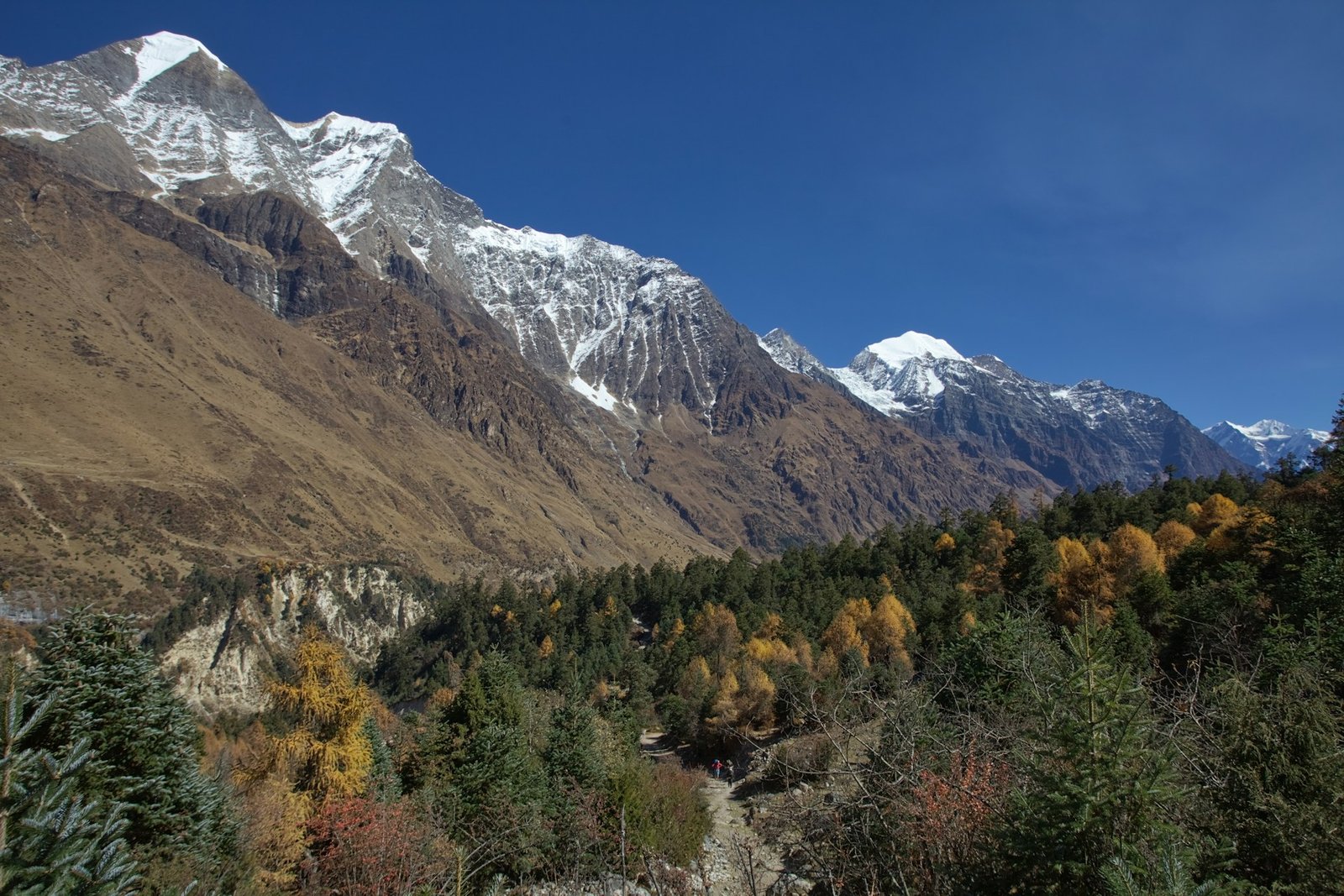 Manaslu trekking cost