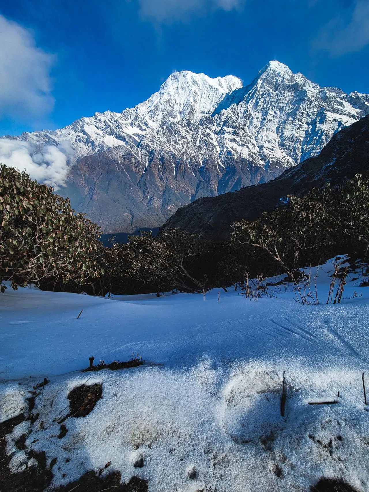 Mardi Himal Base Camp