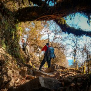 Mardi Himal Trek Nepal