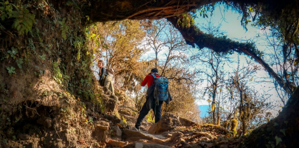 Mardi Himal Trek Nepal