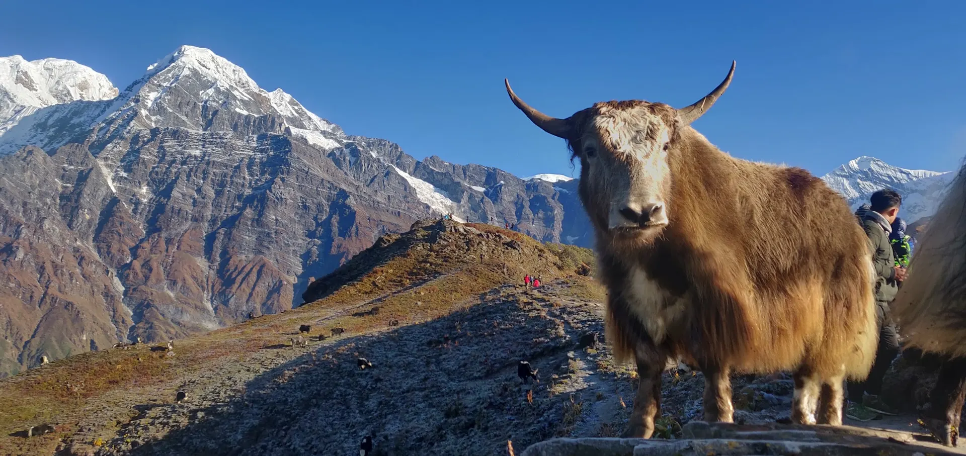 Mardi Himal Trek itinerary