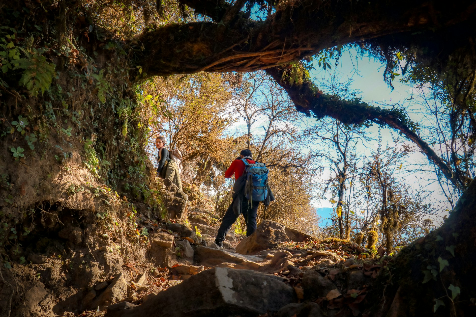 Mardi Himal Trek Nepal