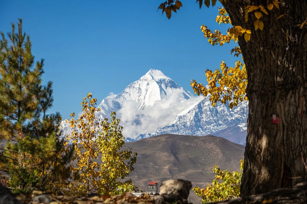 Mardi Himal Weather
