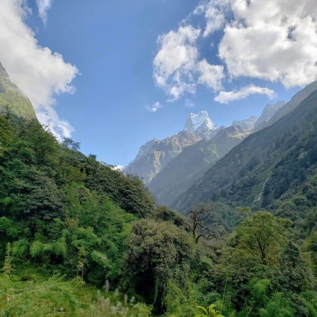Ruby Valley Trek