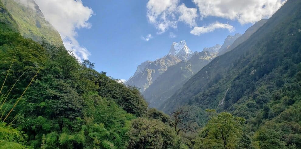 Ruby Valley Trek