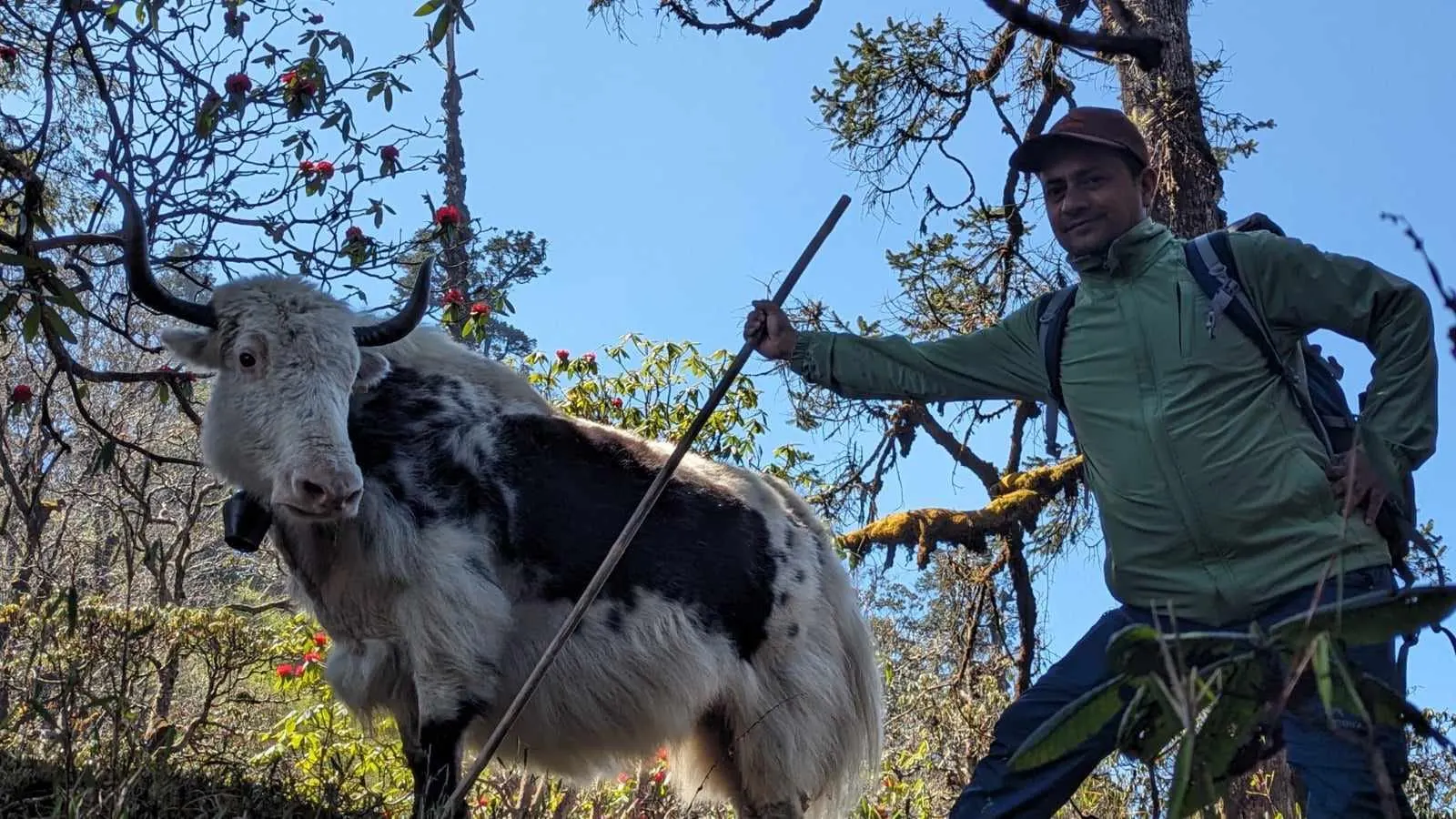 Annapurna hiking