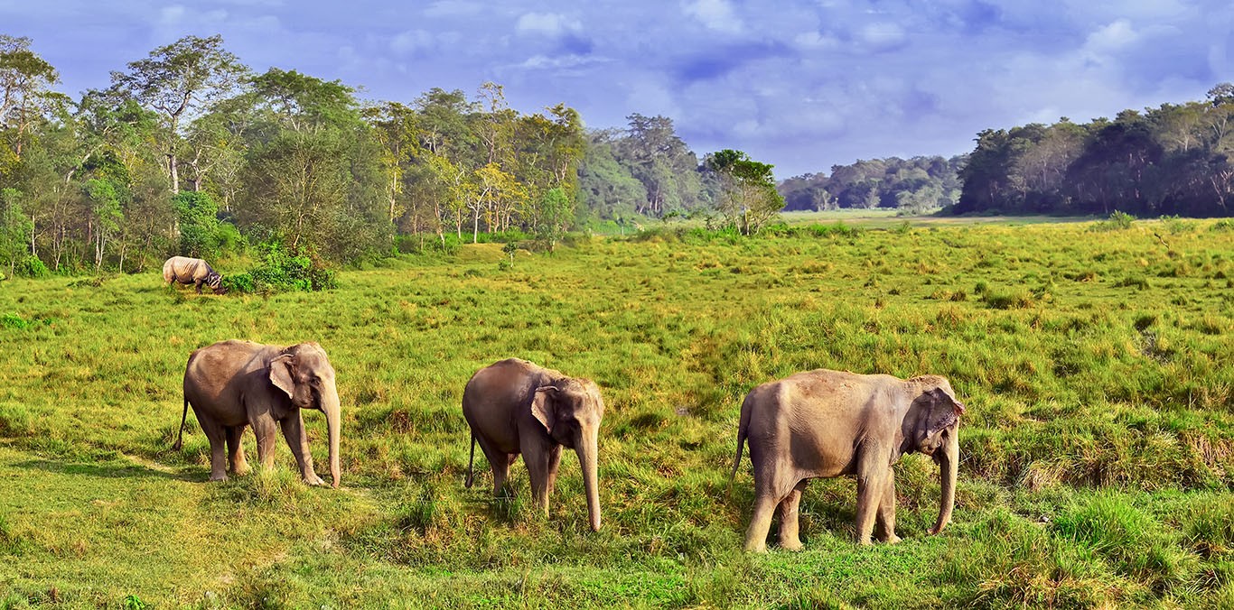 Bardiya National Park