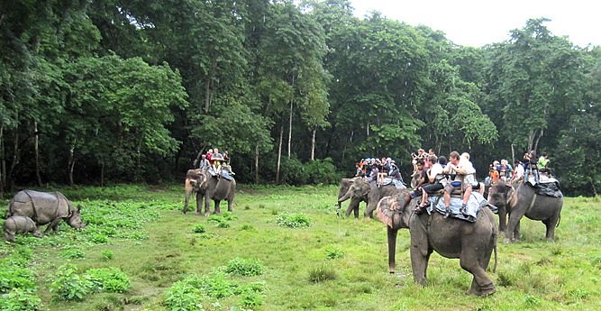 Chitwan National Park Safari