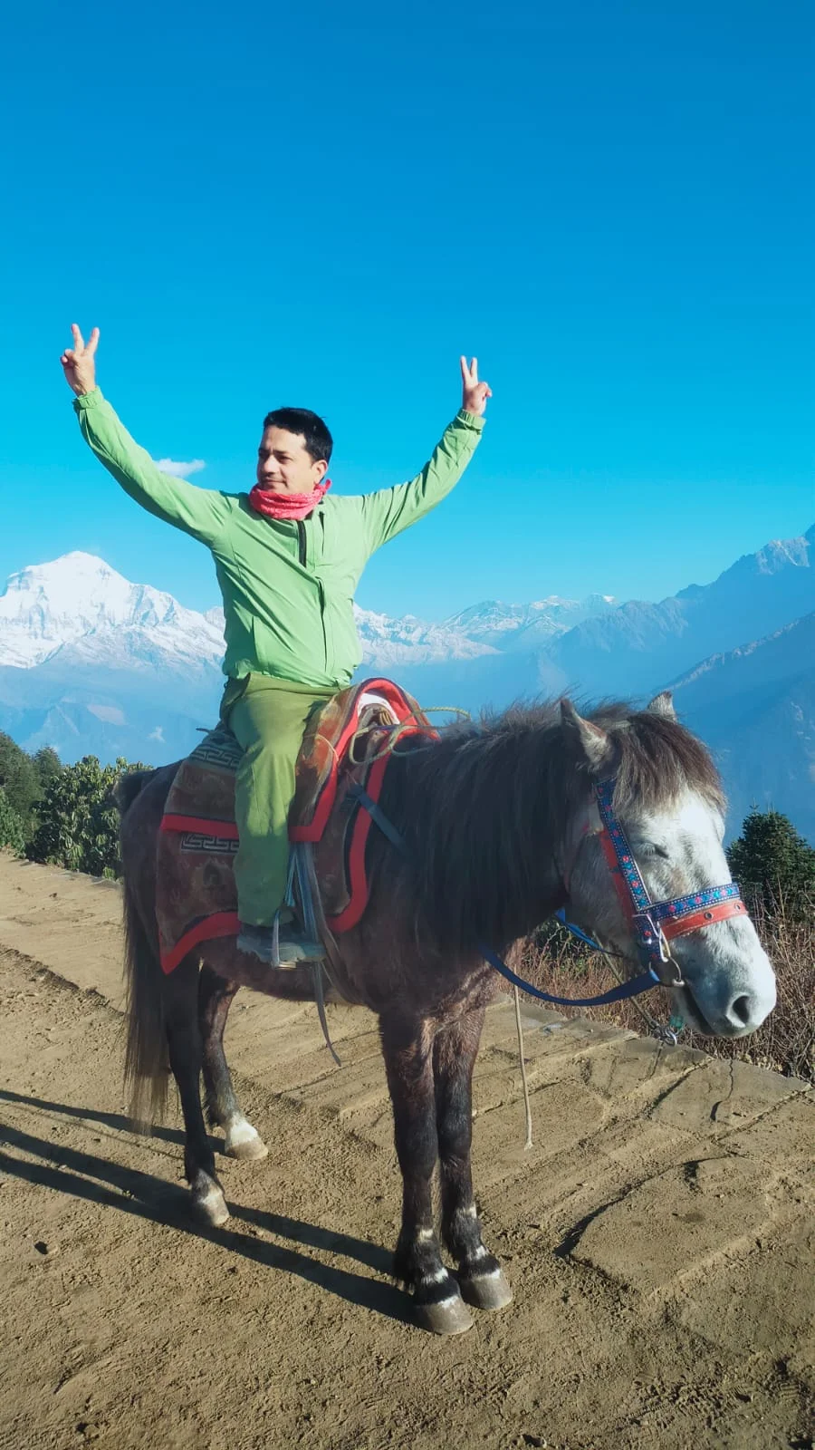 Horse Riding on Peak