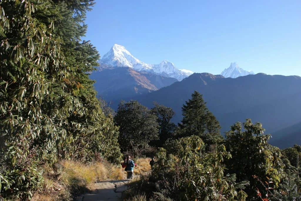 Nepal Mountain Langtang Valley View