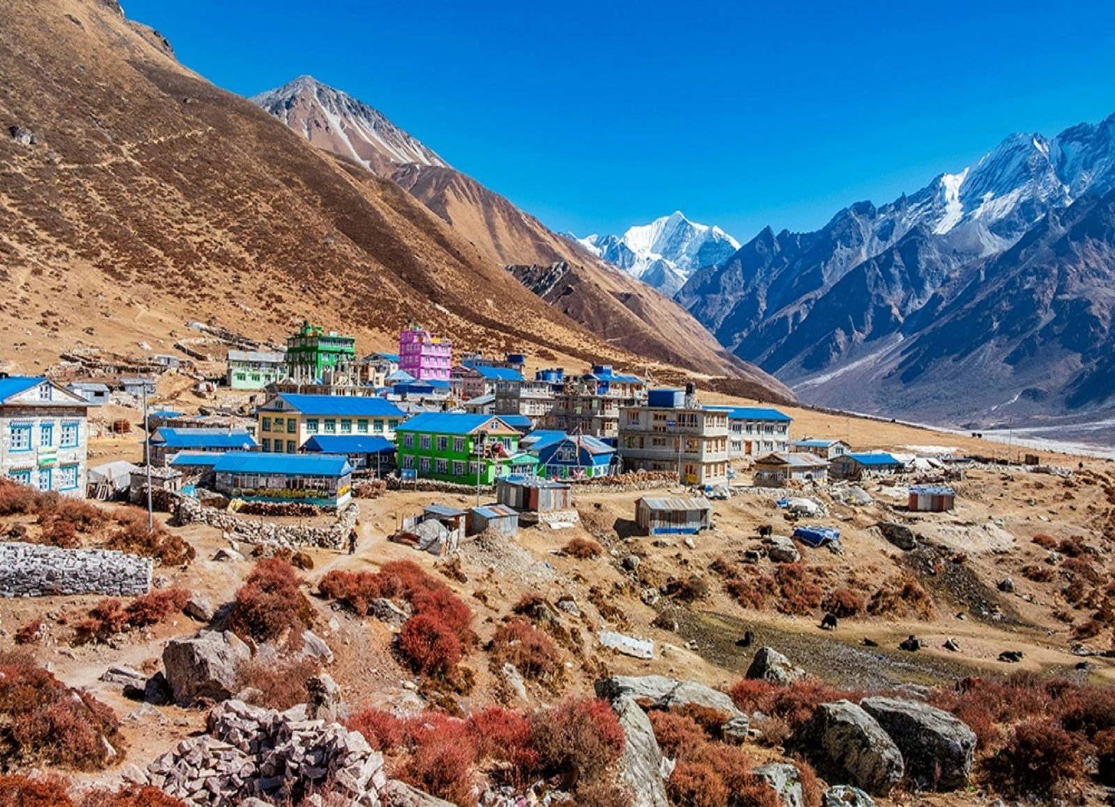 Lantang Valley Trek 10 days